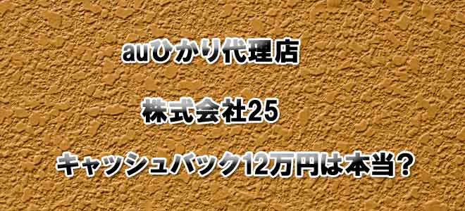 auひかり代理店25