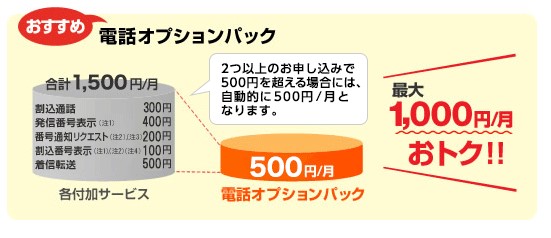 auひかり電話　電話オプションパック