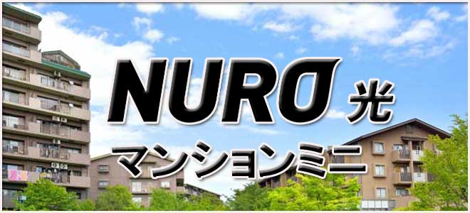 NURO光マンションミニの特徴