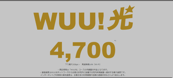 NURO光のOEMサービス・WUU!光を解説